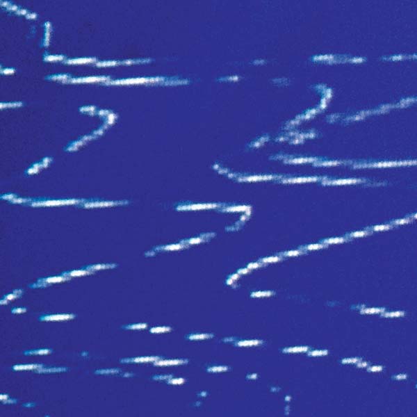 Information Pollution [Vinyl]