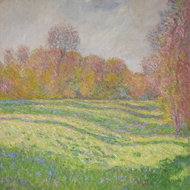 Strawberry Guy - Sun Outside My Window (BABY BLUE VINYL) [Vinyl] (ONLINE ORDER ONLY)