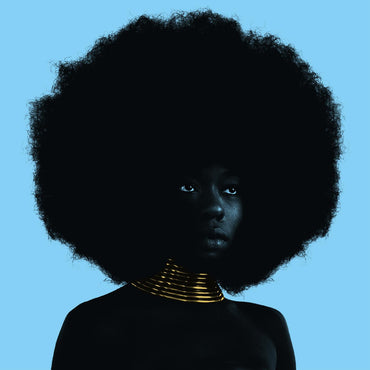 Sink [Vinyl] (ONLINE ORDER ONLY)
