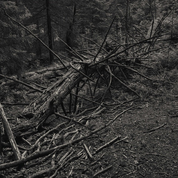 Always I Gnaw [Vinyl] (ONLINE ORDER ONLY)