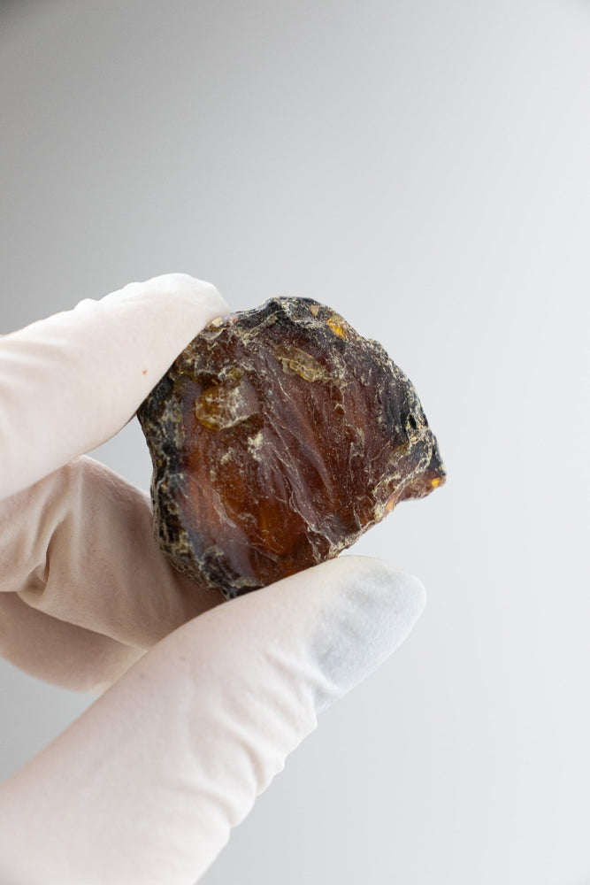 Sumatran Amber (ONLINE ORDER ONLY)
