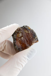 Sumatran Amber (ONLINE ORDER ONLY)