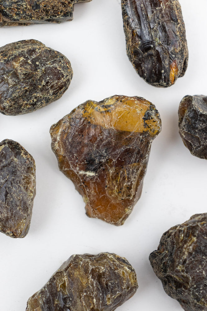 Sumatran Amber (ONLINE ORDER ONLY)
