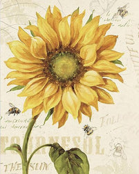 Sunflower & Honey Bee (ONLINE ORDER ONLY)