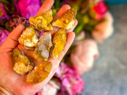 Golden Healer Spirit Quartz, Sunshine Cactus Quartz, Yellow Spirit Quartz, Ethically Sourced Crystals (ONLINE ORDER ONLY)