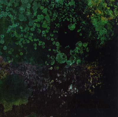 SUTEKH HEXEN WITH ANDREW LILES - Breed in Me the Darkness [CD] (ONLINE ORDER ONLY)