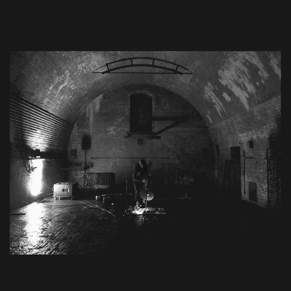 SVARTE GREINER - Devolving Trust [Vinyl]