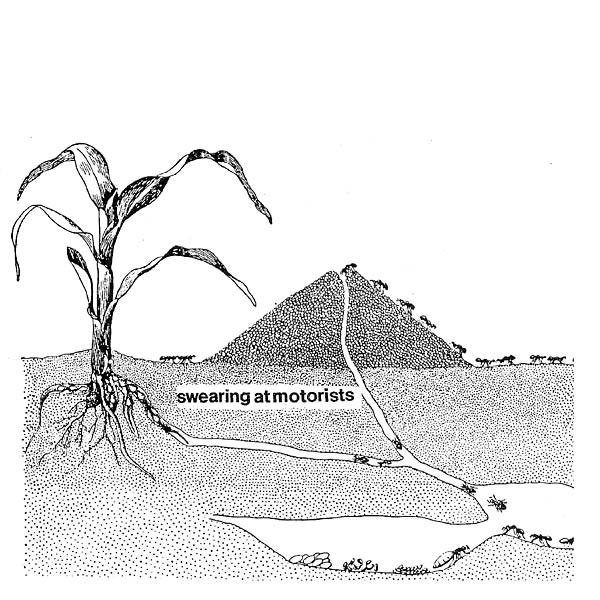 Swearing At Motorists [Vinyl] (ONLINE ORDER ONLY)