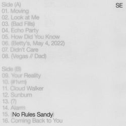 No Rules Sandy [Vinyl]