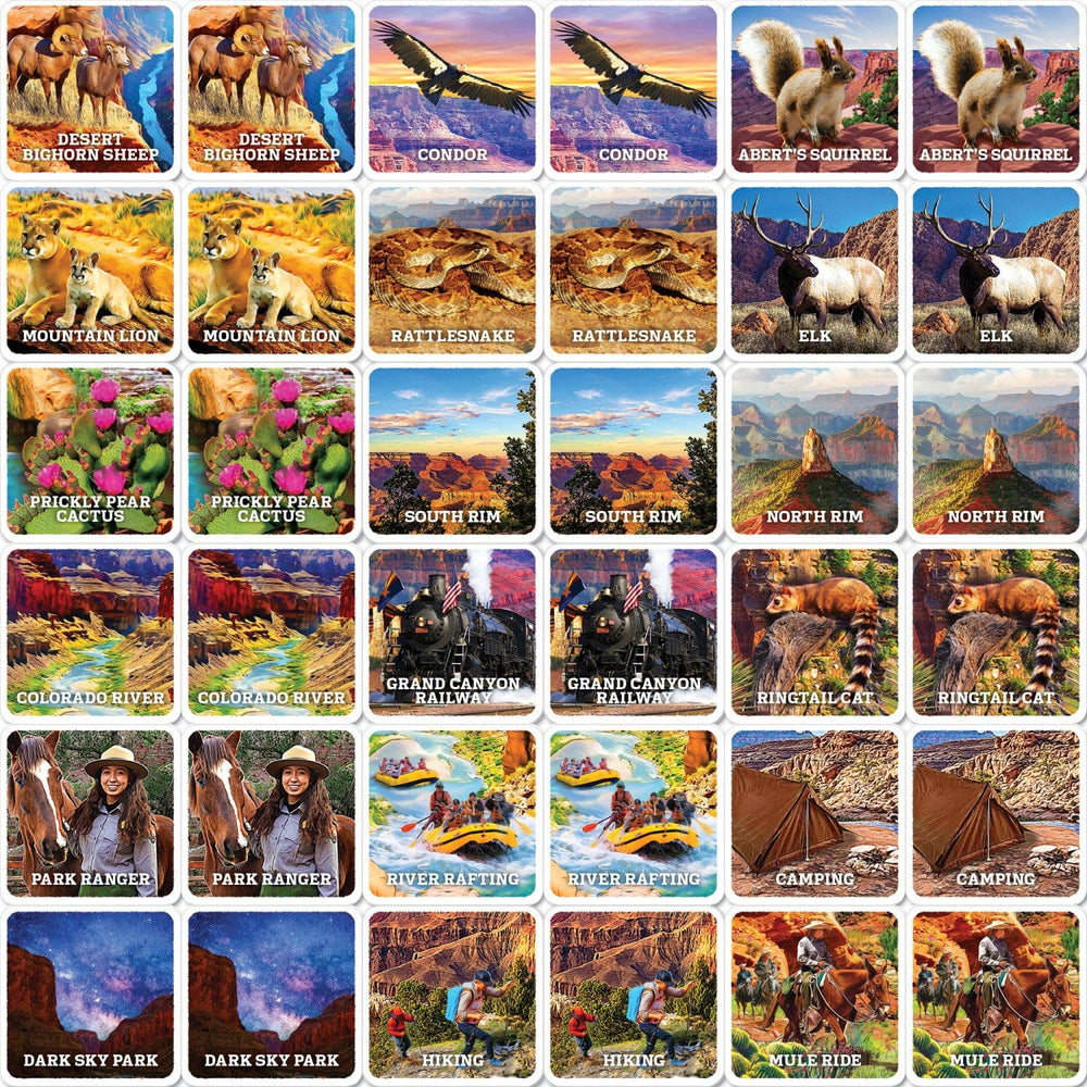 Jr. Ranger - Grand Cayon Matching Game (ONLINE ORDER ONLY)