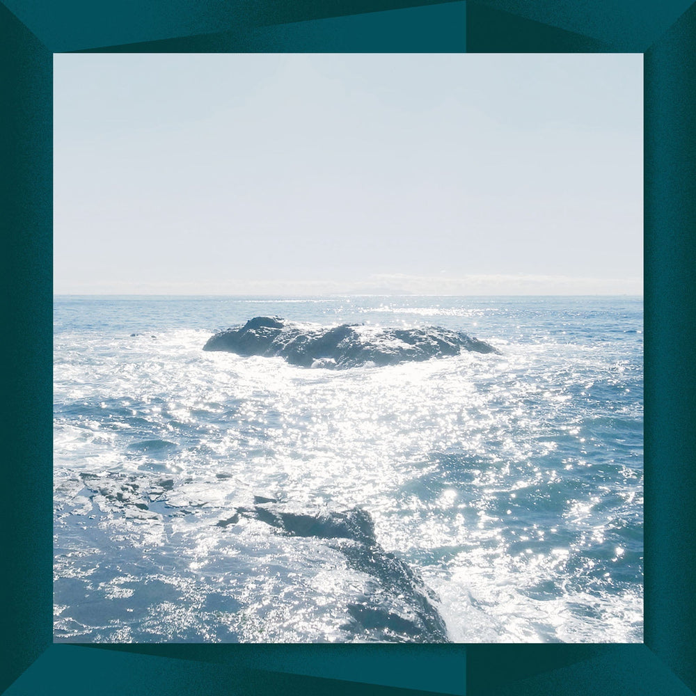 Stealth [Vinyl] (ONLINE ORDER ONLY)