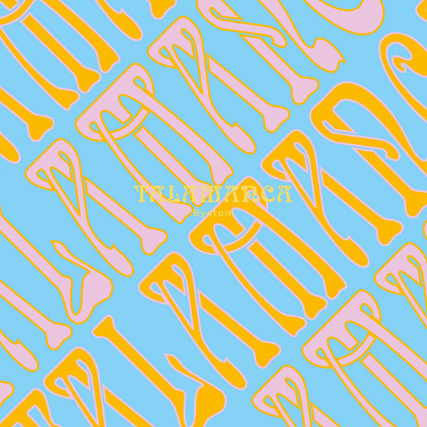 TALAMANCA SYSTEM - Talamanca System [Vinyl] (ONLINE ORDER ONLY)