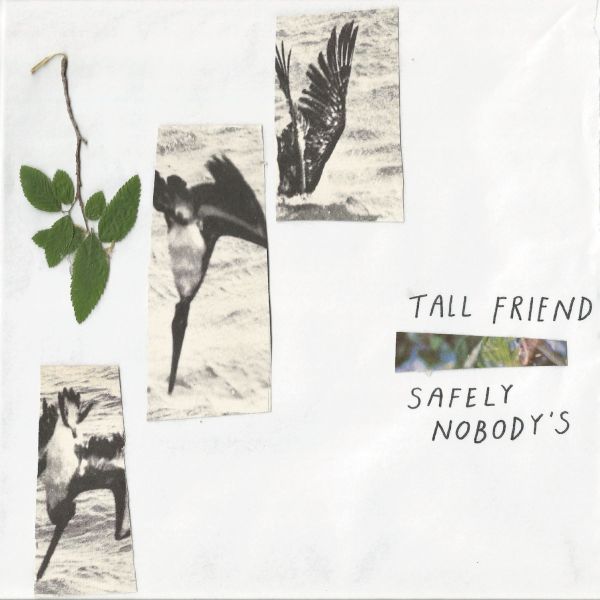 Safely Nobody's [Vinyl] (ONLINE ORDER ONLY)