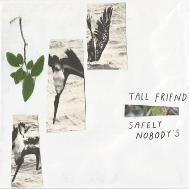 Safely Nobody's [Vinyl] (ONLINE ORDER ONLY)
