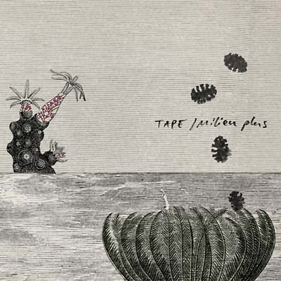 TAPE - Milieu Plus [CD] (ONLINE ORDER ONLY)