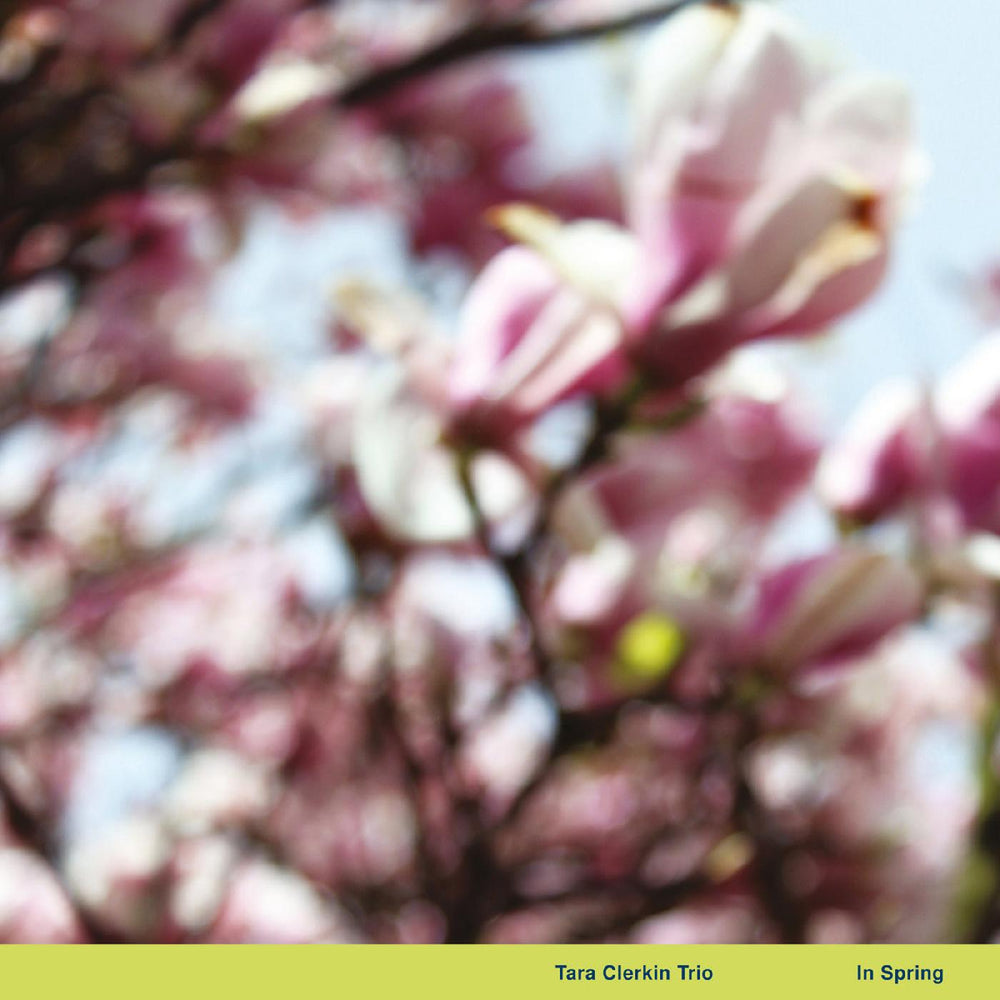 In Spring [Vinyl] (ONLINE ORDER ONLY)