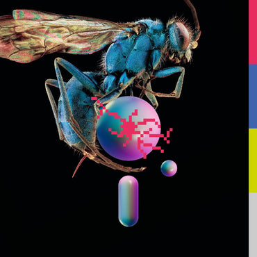 Hive [CD] (ONLINE ORDER ONLY)