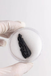 Tektite (ONLINE ORDER ONLY)