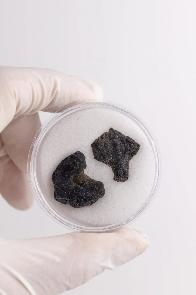 Tektite (ONLINE ORDER ONLY)