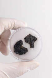 Tektite (ONLINE ORDER ONLY)
