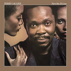 Turn You To Love [Vinyl]