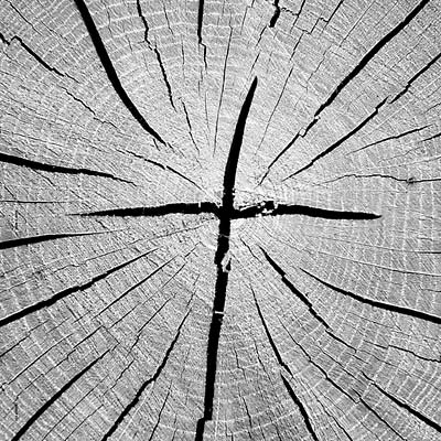 The Best of That's Why [Vinyl] (ONLINE ORDER ONLY)