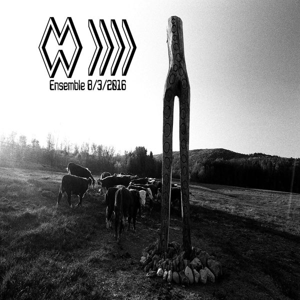 Ensemble 8/3/2016 [Vinyl] (ONLINE ORDER ONLY)