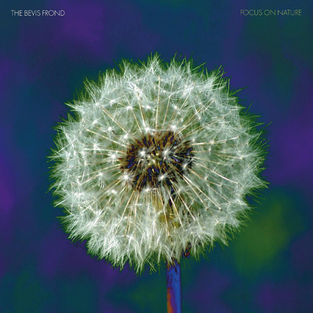 Focus on Nature [CD]