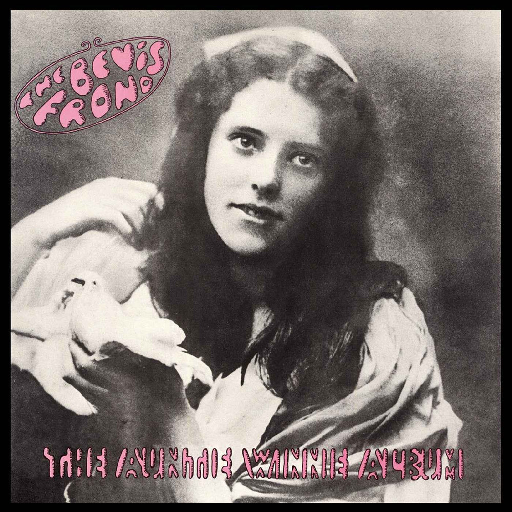 The Bevis Frond - The Auntie Winnie Album [CD]