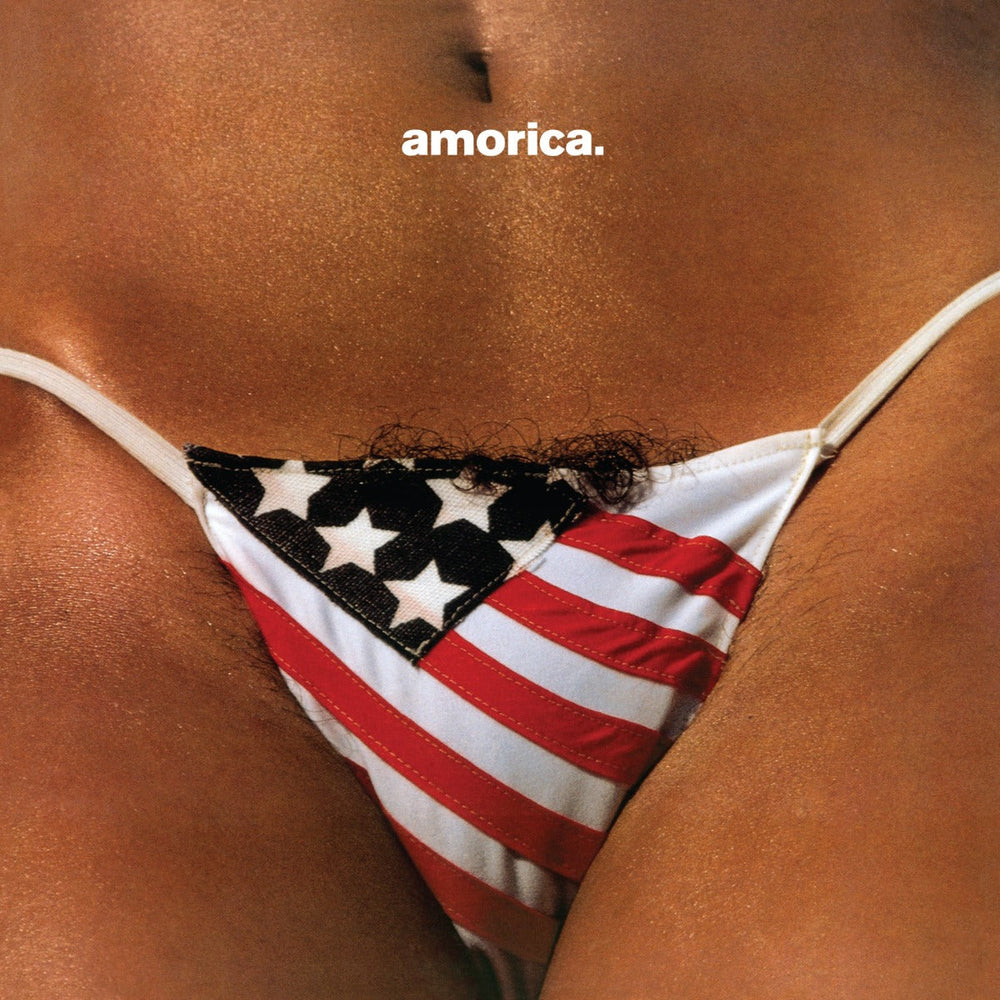 Amorica. [180G 2LP] [Vinyl] (ONLINE ORDER ONLY)
