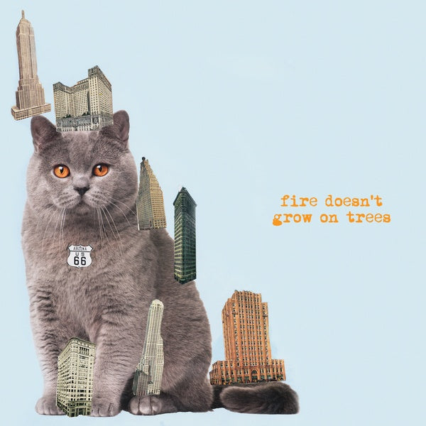 Fire Doesn't Grow On Trees [Vinyl] (ONLINE ORDER ONLY)