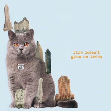 Fire Doesn't Grow On Trees [Vinyl] (ONLINE ORDER ONLY)