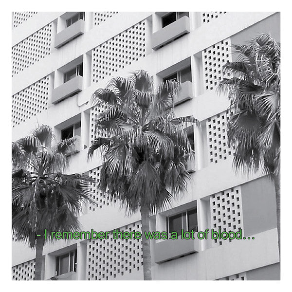 THE BUNNY TYLERS - Glitches And Drones 2013-2016 [CD] (ONLINE ORDER ONLY)