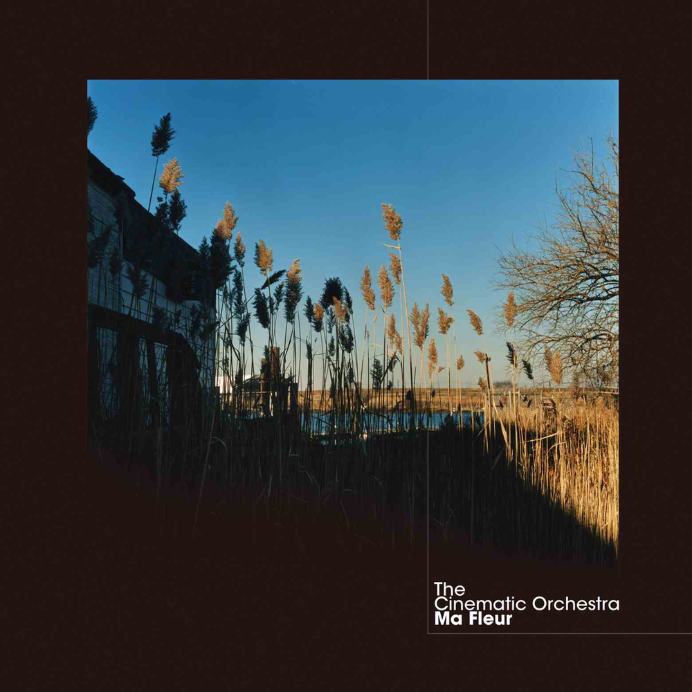 Ma Fleur [CD]