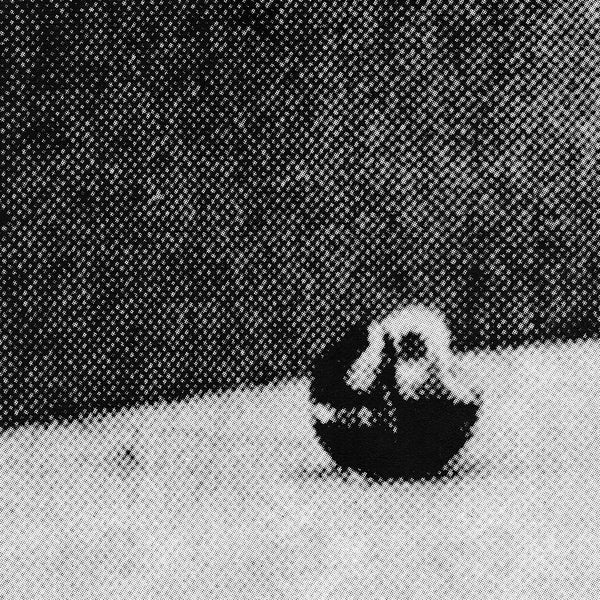 Midwestless [Vinyl] (ONLINE ORDER ONLY)