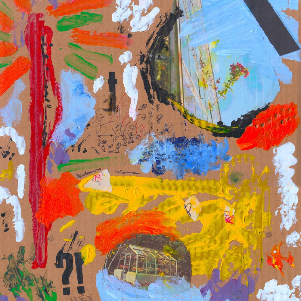 The Cool Greenhouse - The Cool Greenhouse [CD] (ONLINE ORDER ONLY)