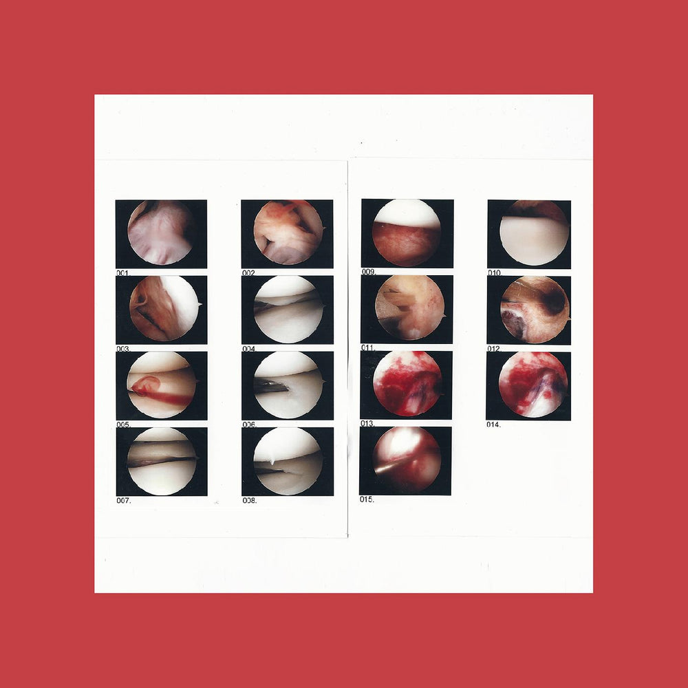 The Cradle - Laughing In My Sleep [Vinyl]