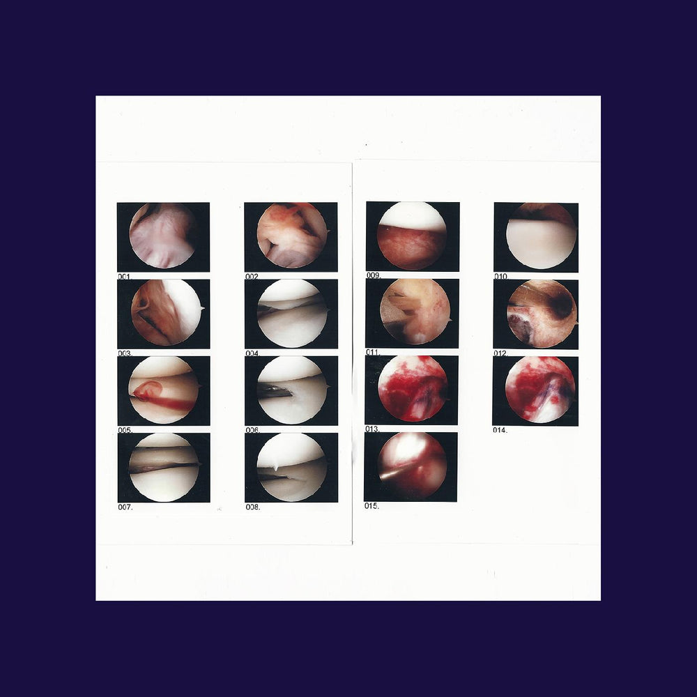 Laughing In My Sleep [CD]