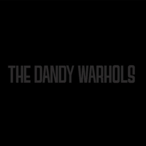 The Black Album [Explicit Content] [Vinyl] (ONLINE ORDER ONLY)