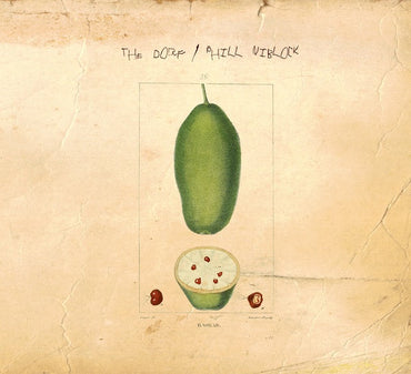 Baobab [CD] (ONLINE ORDER ONLY)