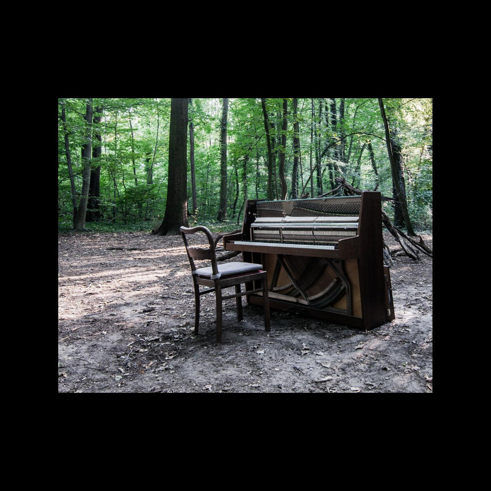 Acoustic II [Vinyl] (ONLINE ORDER ONLY)