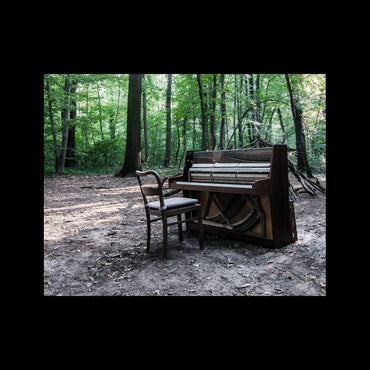 Acoustic II [Vinyl] (ONLINE ORDER ONLY)