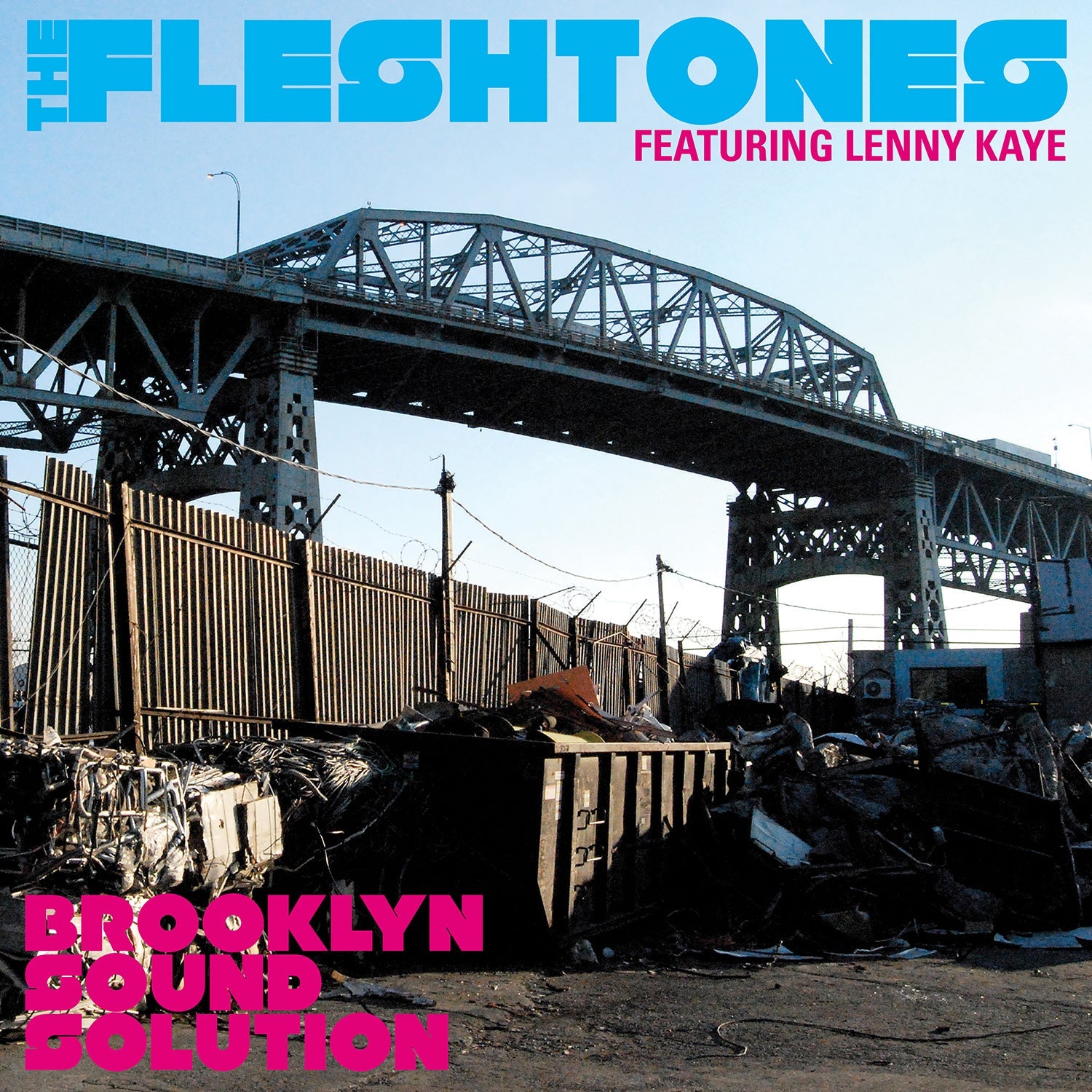 The Fleshtones - Brooklyn Sound Solution [CD] (ONLINE ORDER ONLY)