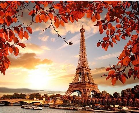 The Gardens Champ De Mars (ONLINE ORDER ONLY)