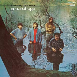 Scratching the Surface [Vinyl]