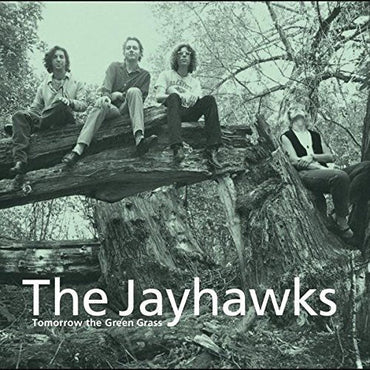 The Jayhawks - Tomorrow the Green Grass [Vinyl]