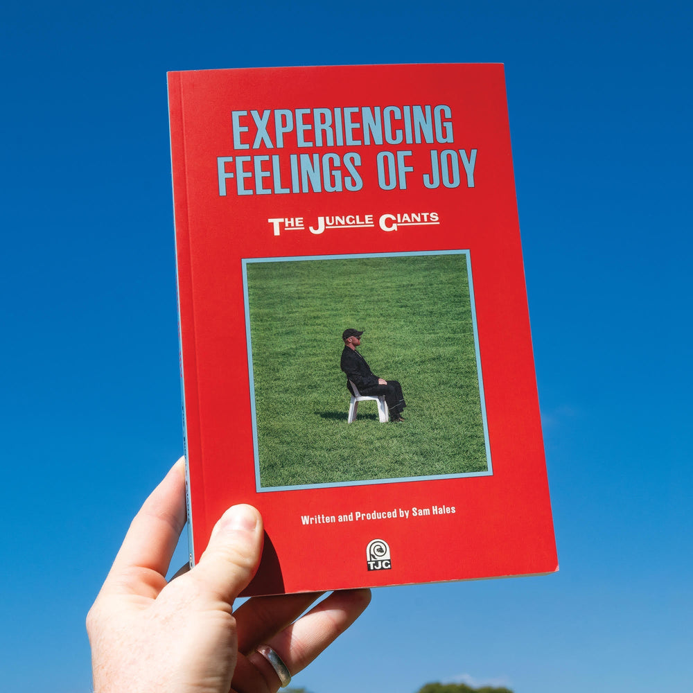 Experiencing Feelings Of Joy [CD]