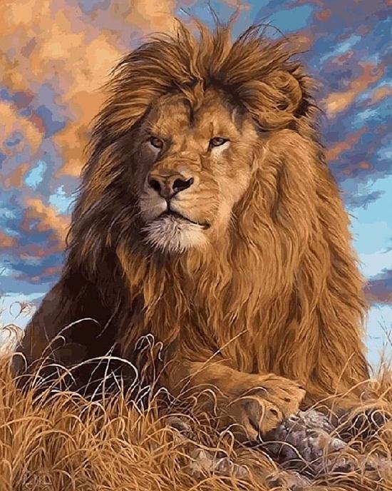 The King Lion Art (ONLINE ORDER ONLY)