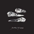 The Last Three Human Words (Demo) / Just Be Simple [Vinyl] (ONLINE ORDER ONLY)