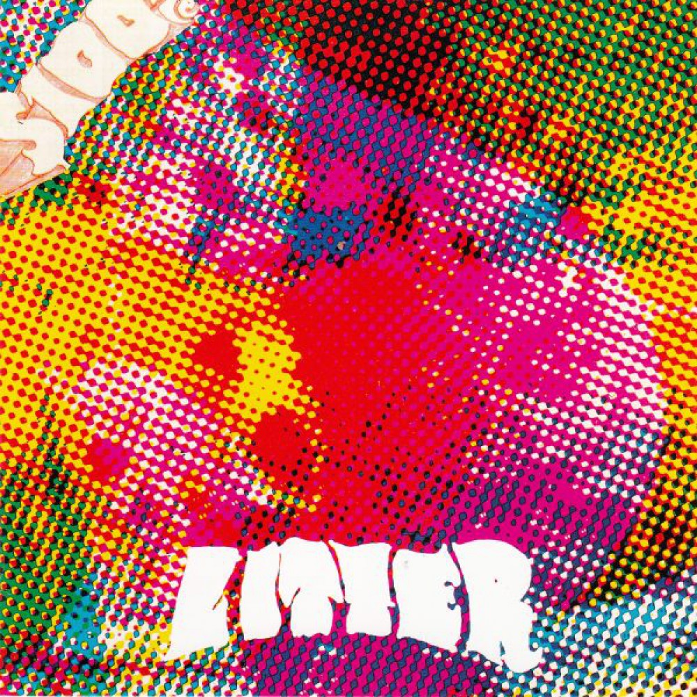 The Litter - $100 Fine [Vinyl] (ONLINE ORDER ONLY)
